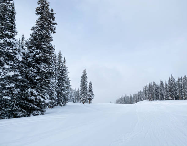 istock Ski resort Colorado USA 1198278457