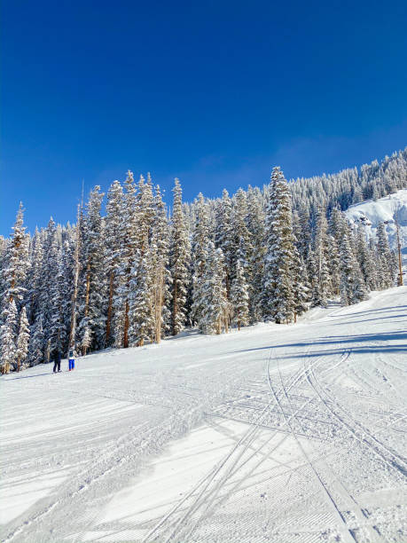 istock Ski resort Colorado USA 1198279083
