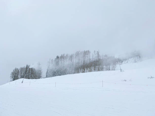 istock Ski resort Colorado USA 1198279432