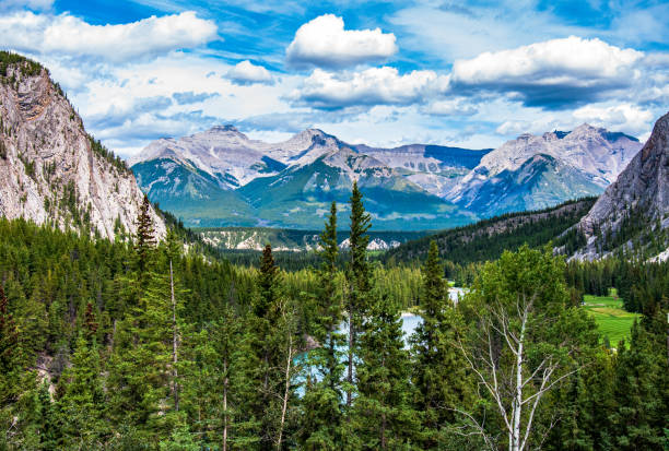 istock Fairholme Range in Banff National Park, Alberta, Canada 1198280544