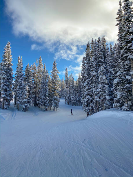 istock Ski resort Colorado USA 1198280618