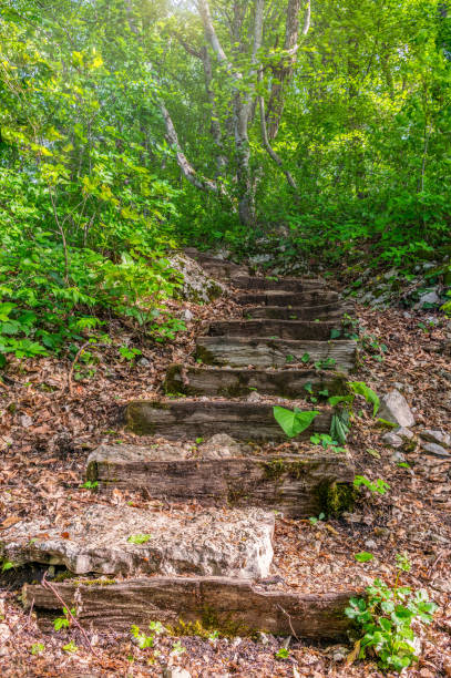 istock Old wooden steps on a mountain trail 1198281296