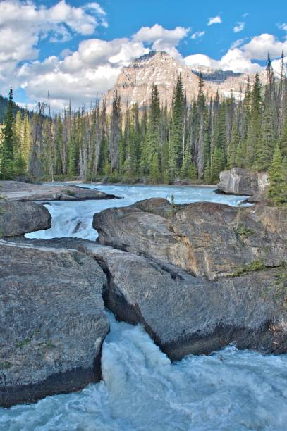 istock Natural Bridge falls in Yoho National Park Canada 1198281450