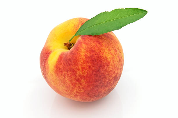 istock Juicy fresh peach with leaves 119828357