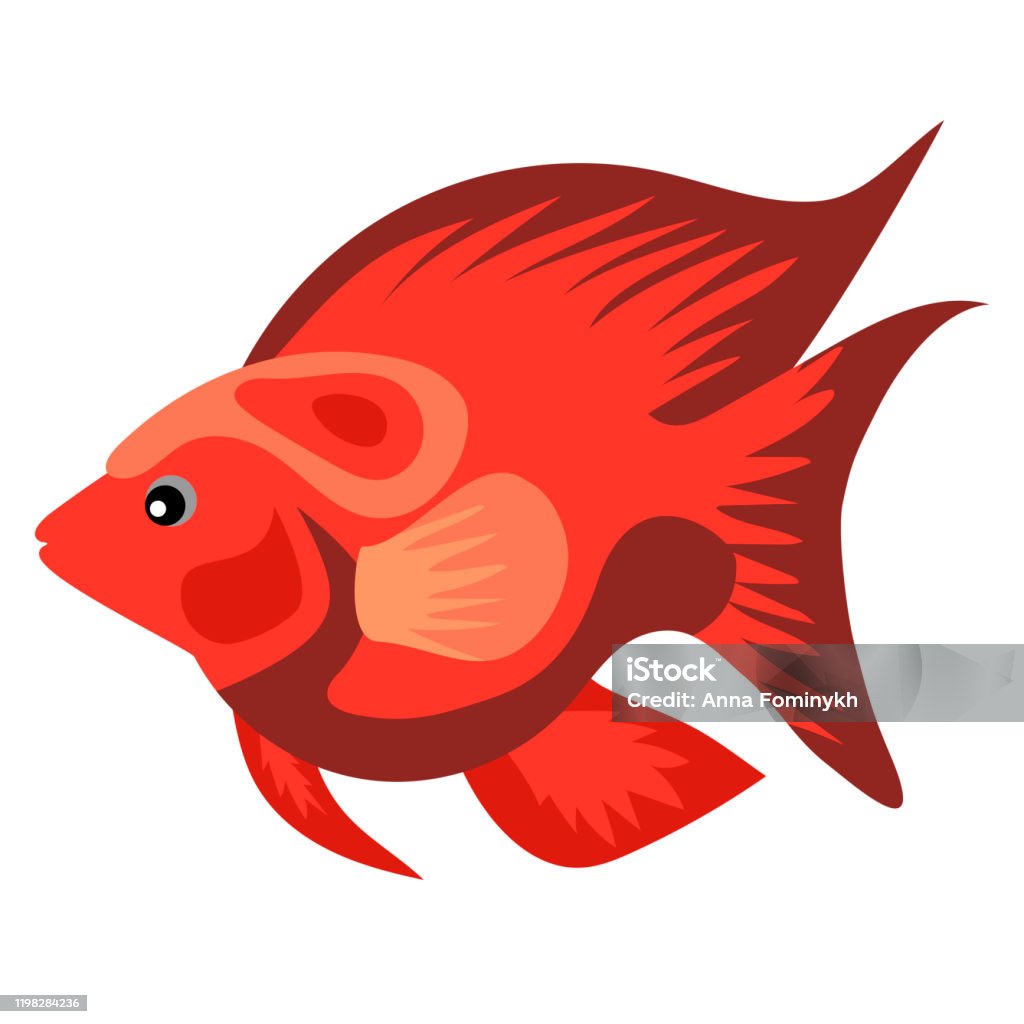 Ilustración de Aislar La Ilustración De Dibujos Animados De Peces Dorados y más Vectores Libres de Derechos de Acuario - Recinto para animales en cautiverio - iStock Ilustración de Aislar La Ilustración De Dibujos Animados De Peces Dorados y más Vectores Libres de Derechos de Acuario - Recinto para animales en cautiverio - iStock