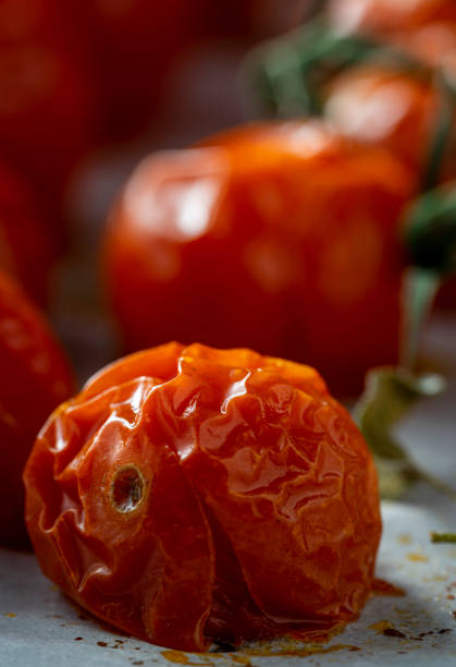 istock Roasted cherry tomatoes on the vine 1198286980