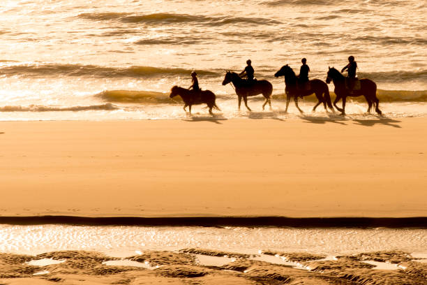 Horses running to freedom on a dusty road