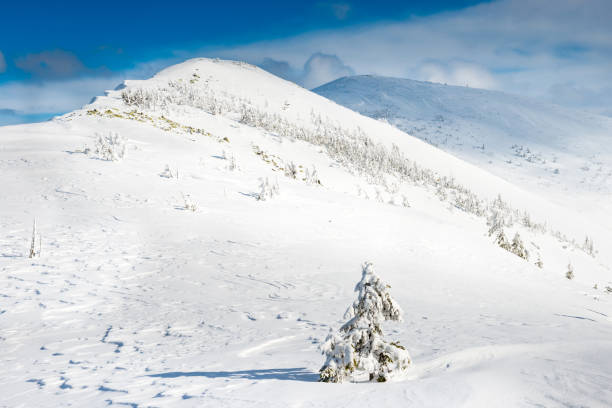 istock Winter landscape in mountains 1198294029