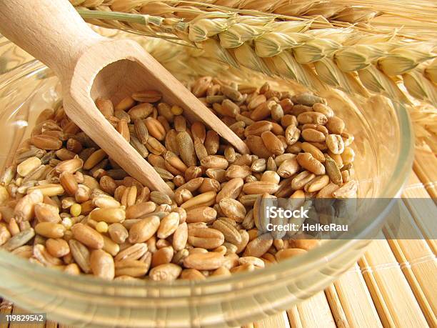 Cereal Mixture Stock Photo - Download Image Now - Cereal Plant, Color Image, Dieting