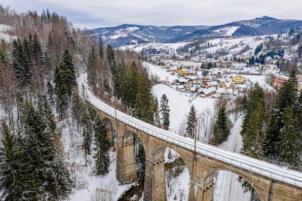 istock Aerial drone view on railway viaduct at winter 1198296153