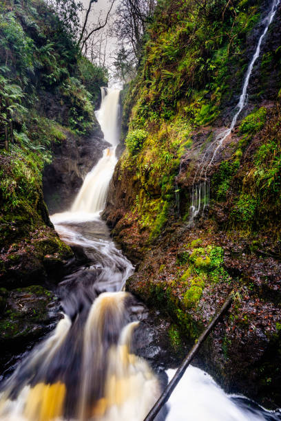 Waterfall Trail at Glenariff Forest Park, County Antrim. Hiking in Northern Ireland Cascades and waterfalls on a mountain stream or creek, between mossy rocks, in Glenariff Forest Park in autumn, County Antrim, Northern Ireland glenariff photos stock pictures, royalty-free photos & images