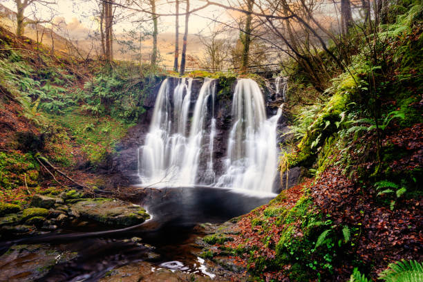 グレナリフ森林公園の滝トレイル、郡アントリム。北アイルランドのハイキング - nobody non urban scene long exposure county antrim ストックフォトと画像