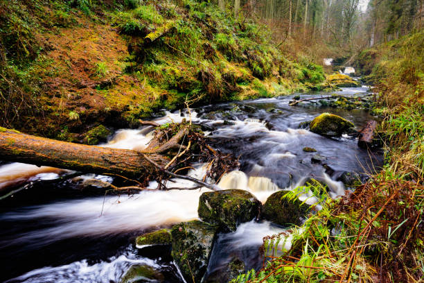 グレナリフ森林公園の滝トレイル、郡アントリム。北アイルランドのハイキング - nobody non urban scene long exposure county antrim ストックフォトと画像
