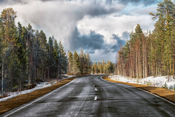 istock The lonely automobile road in the forest with the dramatic sky 1198299824