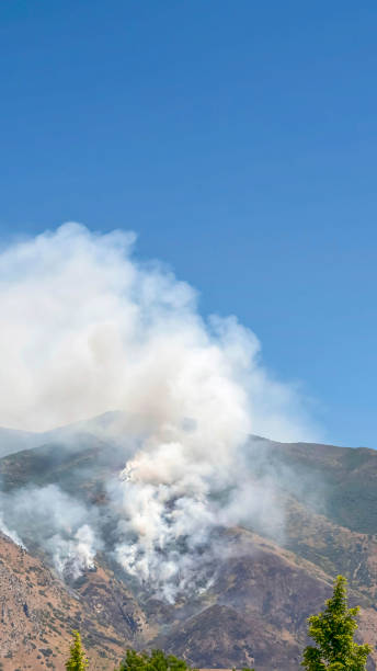 istock Vertical Mountain landscape with smoke from wild forest fire against clear blue sky 1198301849