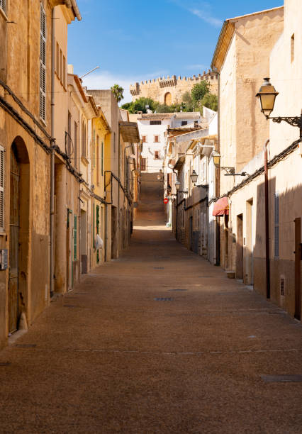 Lovingly tended plants in the narrow streets of the old town of Valldemossa on the island of Mallorca.