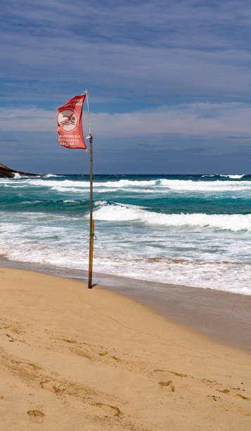 istock Beach with red no swimming flag 1198302473