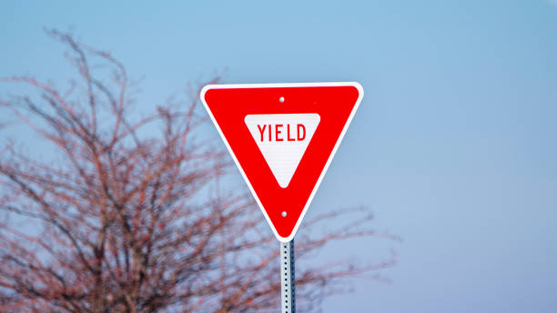 istock Panorama frame Red traffic Yield sign alongside a road 1198303043