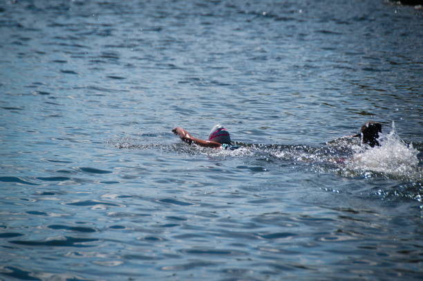 istock Freestyle (front crawl) swimming style in the lake 1198303218