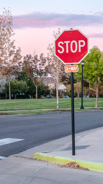 istock Vertical frame Stop sign at a street intersection at sunset 1198307115