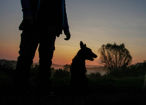 istock Man with dog in silhouette 1198309341