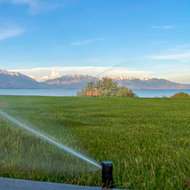 istock Square frame Sprinkler spraying water on green grass with scenic nature view background 1198315116