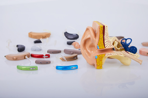Hearing aid. The choice of hearing aid,  hearing care professional. Artificial human ear model.  Human ear. Ear model. A model of the ear for elementary science classes.