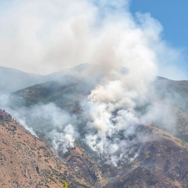 istock Square frame Mountain landscape with smoke from wild forest fire against clear blue sky 1198317526