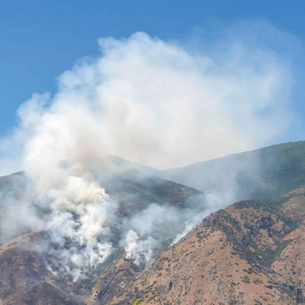 istock Square Mountain landscape with smoke from wild forest fire against clear blue sky 1198318589
