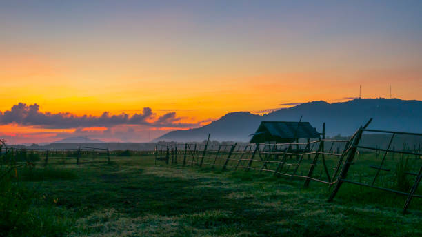 istock Hut on the grass field in the morning 1198319665