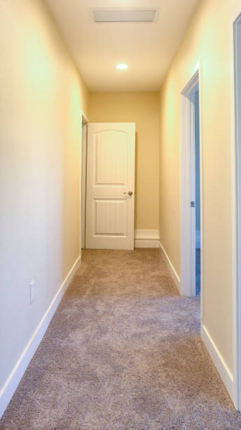 istock Vertical Carppet in a halway of an empty home 1198319911