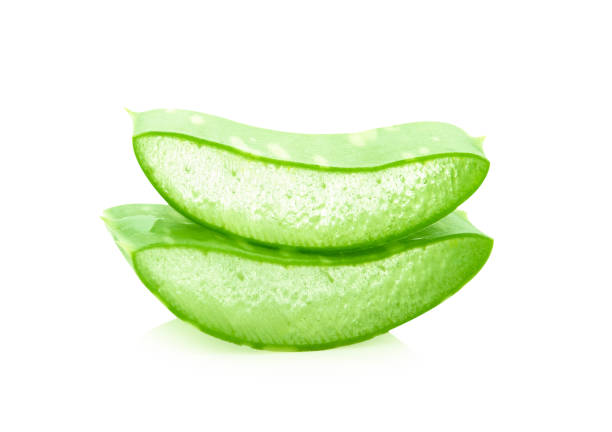 istock Aloe vera fresh leaf with clipping path on white background 1198320690