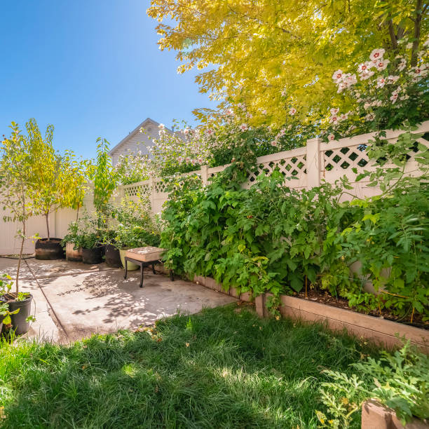 istock Square Small leafy green garden surrounded by a wall 1198320707