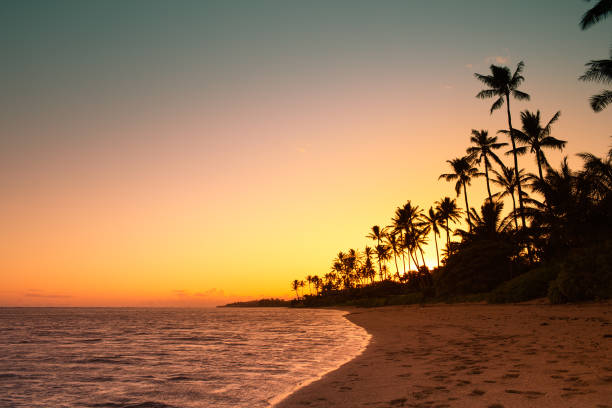 sonnenuntergang am strand - oahu water sand beach stock-fotos und bilder