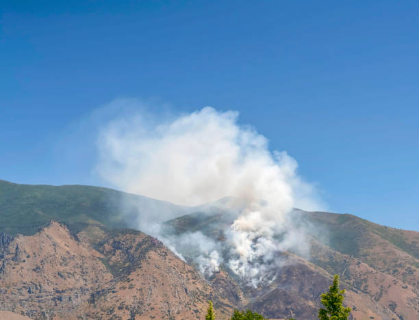 istock Mountain landscape with smoke from wild forest fire against clear blue sky 1198321020
