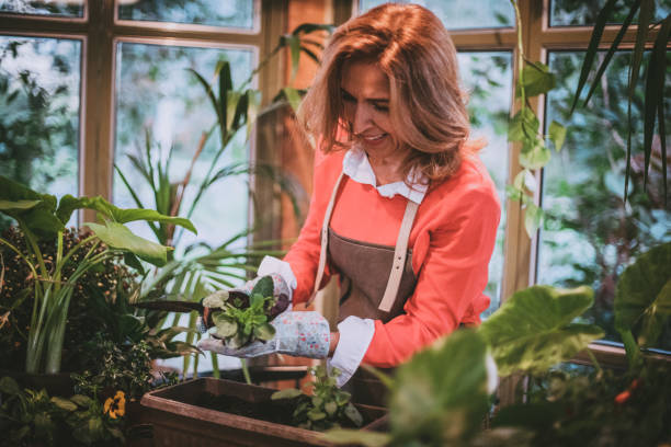 istock Gardener in a greenhouse 1198322021