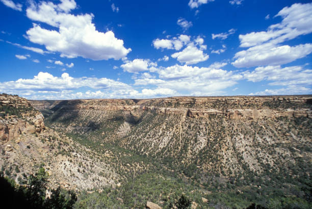 istock Mesa Verde National Park, Colorado 1198323361