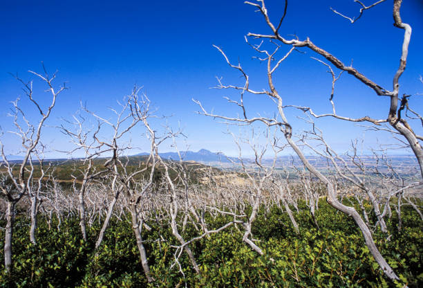 Mesa Verde National Park, Colorado