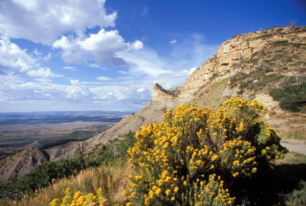 istock Mesa Verde National Park, Colorado 1198323424