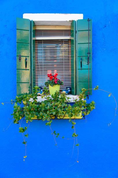 istock Mediterranean window decoration at Venice, Italy 1198323467