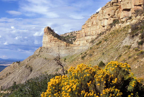 istock Mesa Verde National Park, Colorado 1198323519