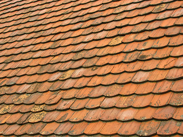 istock Old Roof Tiles 119832501