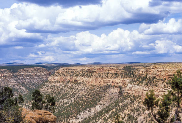 istock Mesa Verde National Park, Colorado 1198325209