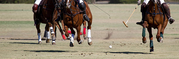istock Gallop For The Polo Ball 119832651