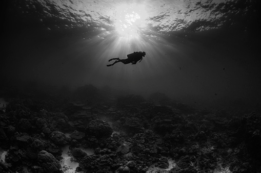 Underwater view with sunbeam, rays of light and a female diver in Palau - Micronesia