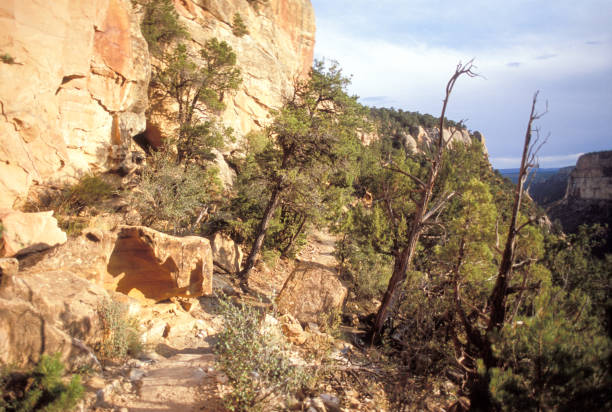 istock Mesa Verde National Park, Colorado 1198326752