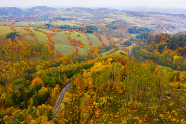istock Autumn landscape with curving road 1198328380