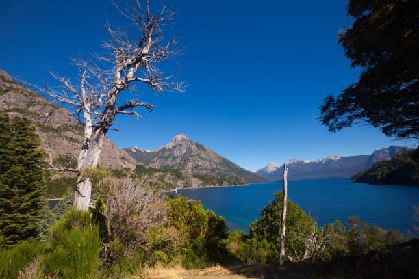 istock Lakes Nahuel Huapi and mountain Campanario 1198328408