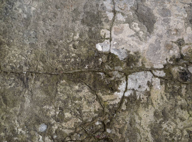 istock texture of gray cracked cement, element for the designer, full frame 1198329230
