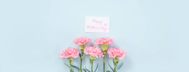 istock Beautiful, elegant pink carnation flower over bright light blue table background, concept of Mother's Day flower gift. 1198334207